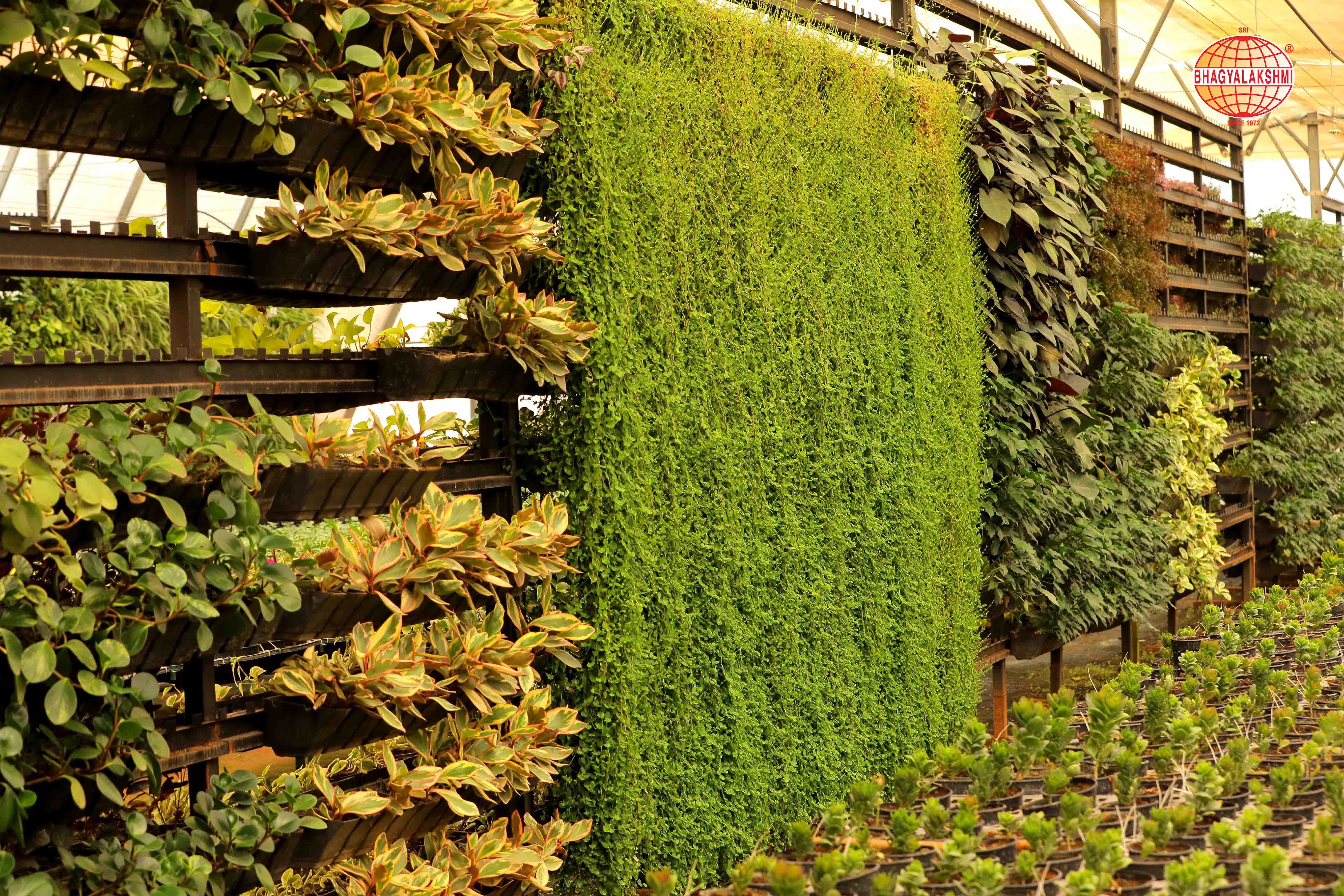Sbl Farms Green walls and Living walls, Vertical Garden, Bio Curtains